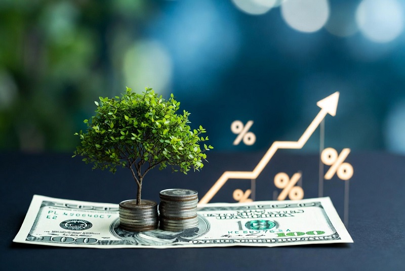 $100 Decision That Builds Real Wealth (Not Stock Picks)